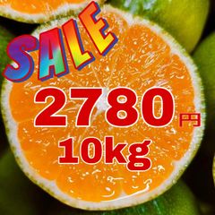 SALE‼️味濃い玉津みかん　極早生　家庭用　小玉10kg    産地直送　日南