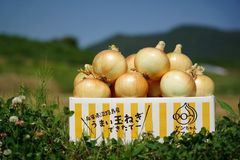 ひょうご安心ブランド認証　淡路島たまねぎ　3kg【兵庫県淡路島産】