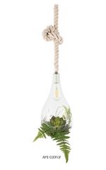 BOTANIC Hanging Light L (FGF)