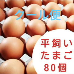平飼い卵 10個入り8パック 国産もみじの卵 新鮮 産みたて クール便