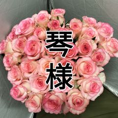 バラ ジュミリア４５センチ30本切り花生花