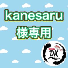 Dkタングステン タイラバヘッドshop - メルカリShops