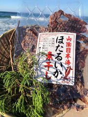 【人気商品】山陰日本海のホタルイカ素干