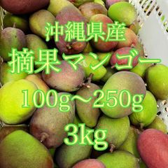 沖縄県産　摘果マンゴー　3kg