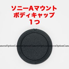 Item thumbnail for item e62ae391-ee54-4663-ba36-0802f2ce6816