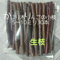 Item thumbnail for item 27741ff0-3577-46df-92f6-297e0a077d77