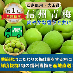 信州青梅 ～爽やかな香りと共に～【内容量】約1kg【配送方法】通常配送【サイズ】L以上【品目】梅（うめ）【品種】当店お任せ【産地】長野県【規格】ご家庭用A品B品混合【詰め方】 バラ詰め【配送までの日数】1～4日