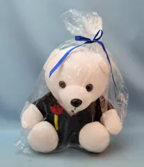 レア！？CNBLUE★ファンミ限定ぬいぐるみ★ 2025年最新】cnblue ぬいぐるみの人気アイテム - メルカリ