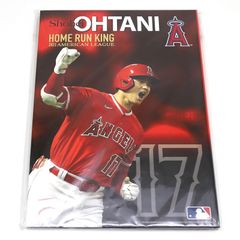 大谷翔平　MLB 2023 HOME RUN KING　ホームランキング　ポストカード　フォトサイン色紙　切手セット
