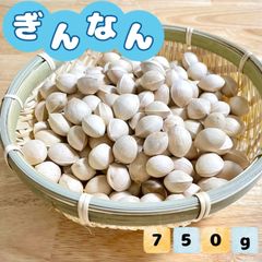 福岡県産 ぎんなん（無農薬・無漂白 ）750g ★お正月準備に