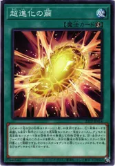 2025年最新】遊戯王 進化の繭の人気アイテム - メルカリ