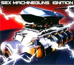 2024年最新】Sex machineguns cdの人気アイテム - メルカリ