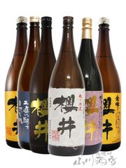 【空瓶】十四代 本丸 6本セット No.15 十四代 本丸 空瓶 6本セット - メルカリ