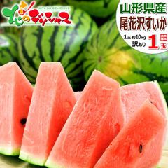 【出荷間近/7月下旬(7月28日)頃～出荷】 山形県産 ご家庭用 尾花沢すいか 1玉 (訳あり/1玉 約10kg) 尾花沢スイカ すいか スイカ 西瓜 わけあり ご自宅用 ご家庭用 お家用 お得 お買い得 果物 フルーツ 山形県 グルメ お取り寄せ