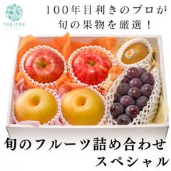 旬のフルーツ詰め合わせ【スペシャル】