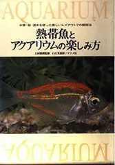 2024年最新】水槽石レアの人気アイテム - メルカリ