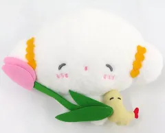 こぎみゅんサプライズボックス&その他セット サプライズボックス（SURPRISEBOX） - 生活に寄り添ったここだけ