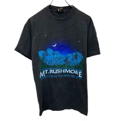 WHIZ 蛍光グリーン Tシャツ マウントラッシュモア　古着　レア WHIZ 蛍光グリーン Tシャツ マウントラッシュモア 古着 レア