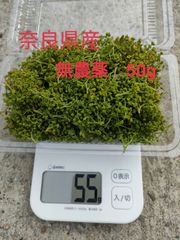 奈良県産】無農薬 山椒(木の芽)新芽 花山椒 - メルカリ