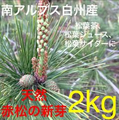 天然赤松 松葉の新芽 1kg 絶品！ 保存用 レシピ付 南アルプス白州 - メルカリ