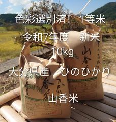 まもなく終了！色彩選別済み！1等米 20Kg 大分県産 ひのひかり 山香米 まもなく終了！色彩選別済み！1等米 20Kg 大分県産 ひのひかり 山香米