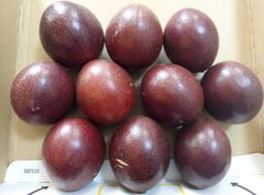 数量限定！大好評　沖縄産パッションフルーツ　10個