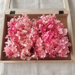 プリザーブドフラワー アジサイ 約13g (ローズピンク) OC-PKRS 未使用品 ピラミッド 紫陽花 ヘッド