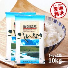 米 新潟産こしいぶき10kg  お米 10キロ 令和5年産 白米