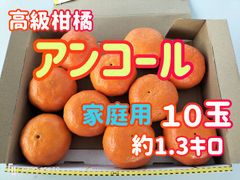 訳あり　高級柑橘アンコール　家庭用10玉　コンパクトBOX