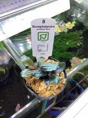 10%引きの商品