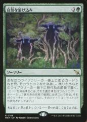 ウルザズ・サーガ 隠れたる獣群 日本語 1枚 MTG - メルカリ