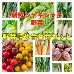 ミニトマト入り‼️野菜詰め合わせセット‼️11品たっぷり‼️シャキシャキ野菜‼️