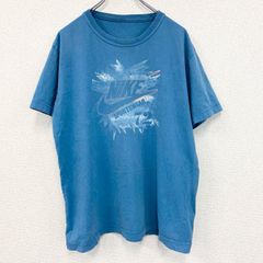 古着 used　NIKE　ナイキ　半袖プリントTシャツ　スポーツウェア　クルーネック　レトロデザイン　水色　ライトブルー