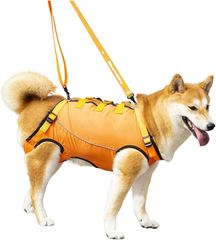 Item thumbnail for item 7888ea8a-6804-464e-90bd-2ea8a728ca96