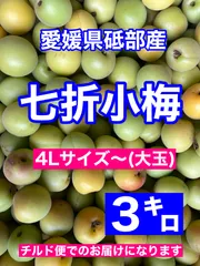 2025年最新】七折小梅の人気アイテム - メルカリ