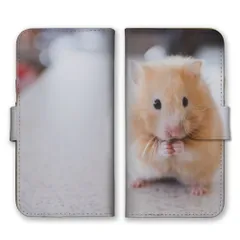 Galaxy A55 5G SC-53E ケース 手帳型 ギャラクシー A55 スマホケース 携帯ケース ハムスター ハム 動物 小動物 ゴールデンハムスター 写真 ゆるい 可愛い かわいい カラー02