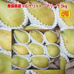青森県産 洋梨 　　マルゲリット・マリーラご家庭用　6-10玉　３ｋｇ