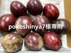 pokoshinya7様専用