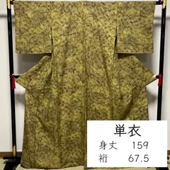 F127　単衣　小紋　黄緑　グリーン　ぼかし