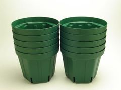 スリット鉢 ５号 １０個セット     観葉植物 クリスマスローズ バラ 植木鉢 根詰まり防止 CSM とんでもないポット 15cm 多肉植物