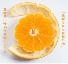【 2025年度11月予約販売 】  早生(わせ) みかん 3kg 3S～2S サイズ (愛媛県八幡浜市産) 産地直送 「 愛媛県産 父の日 お中元 愛媛みかん 蜜柑 ミカン 温州みかん 果物 小粒 小玉 甘い フルーツ ご家庭用 果物  ミカン柑橘類 かんき
