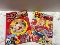 ビッグオリジナル 2冊セット　小学館