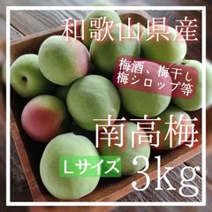 梅 南高梅 3㎏ 和歌山