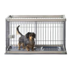 Item thumbnail for item a3f188af-4ff5-4942-a84b-bc58143ae149