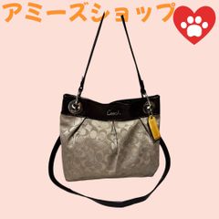 COACH　コーチ　シグネチャー　キャンバス　2way　F17599　シ