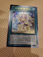 遊戯王 アジア　ルーンアイズ・ペンデュラム・ドラゴン　ホロ　エラー 遊戯王 アジア ルーンアイズ・ペンデュラム・ドラゴン ホロ
