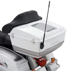 激レア 当時物 香港 テレホンカード ブルースリー 期限切れ1995/12/31