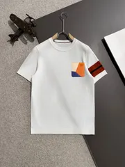 【今日特価】Burberry 2025SS メンズポロシャツ