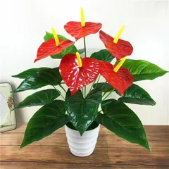 ハワイ製 陶磁器 アンスリウム【ハート型】小皿・小物入れ（現地購入品） ハワイ製 陶磁器 アンスリウム【ハート型】小皿・小物入れ（現地