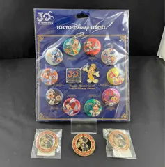 ディズニーランド　東京ディズニーリゾート　30周年　缶バッジ　プレミアムツアー　ピンバッジ